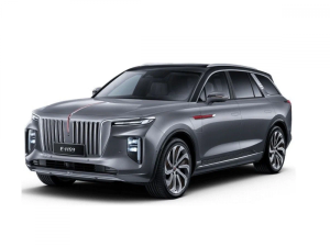Коврики EVA на Hongqi E-HS9 I 2020-
