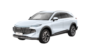 Эва-коврики на  Haval F7 II 2024- FWD