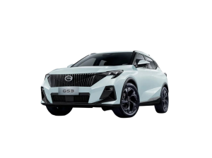 Gac Gs3 2024-